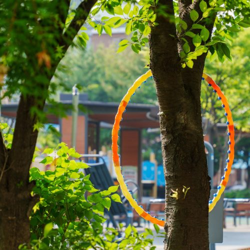 Hoops